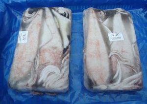 Frozen Squid
