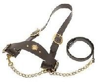 Leather Halter