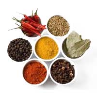 Indian spices