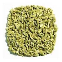 Fennel Seeds