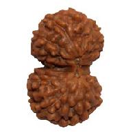 Gauri Shankar Rudraksha