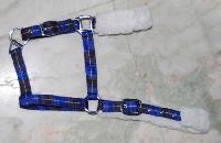 Horse Halters