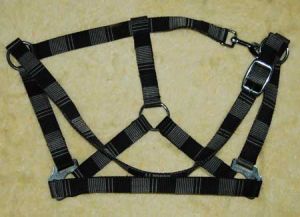 Horse Halters