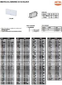 Insize Individual Ceramic Gage Block