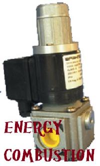 Gas Pressure Regulator