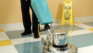 Verus Soft Surface Floor Cleaner