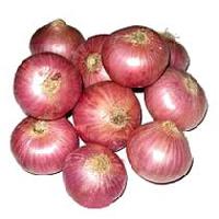 Fresh Onions