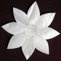 Pearl Flower