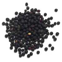 Black Mustard Seeds