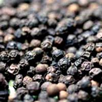 Black Pepper Seeds