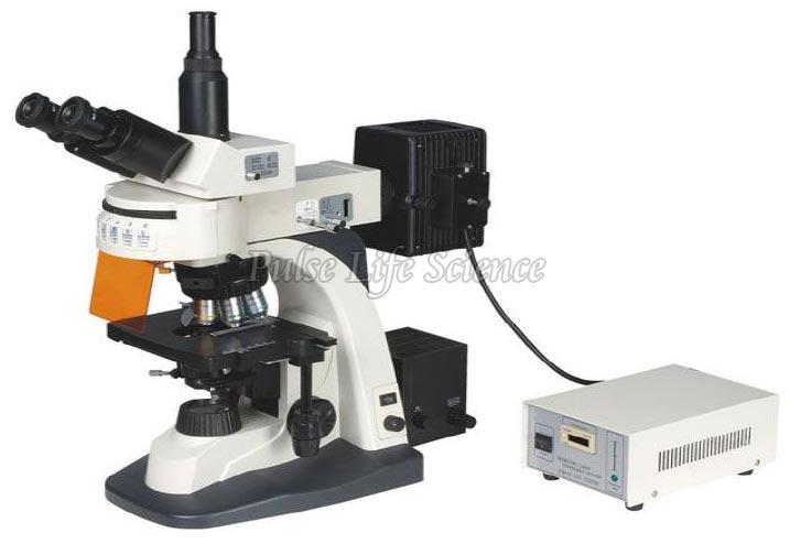Biological Microscope