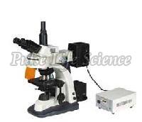 Fluorescence Microscope