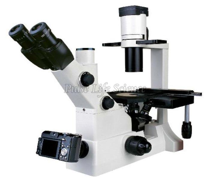 Biological Microscope