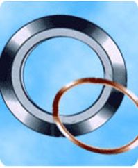 Spiral Wound Metallic Gaskets