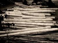 Bamboo Broomsticks