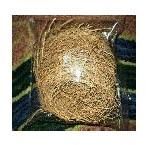 Vetiver Raw Root