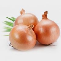 Onion