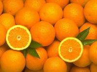Fresh Kinnow Oranges