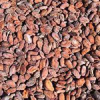 Organic Cocoa Beans