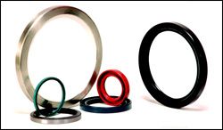 Oil Seal