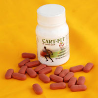 Cart-fit Tablets ( Food Supplement for Rheumatoid Arthritis and Osteoarthritis )