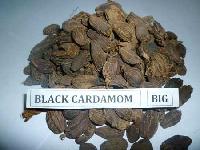 Black Cardamom