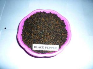 Black Pepper Seeds