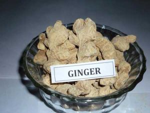 Dry Ginger