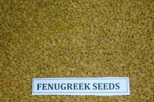 Fenugreek Seeds