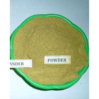 Green Coriander Powder