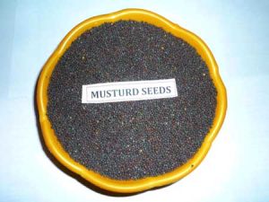 Mustard Seeds