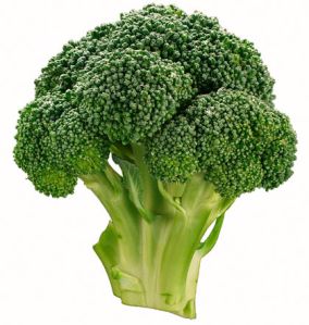 Fresh Broccoli