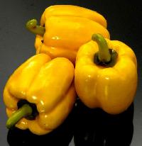 Fresh Yellow Capsicum