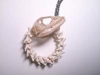 Bone Jewelry