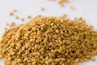 Fenugreek Seeds