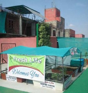 Rooftop Farming