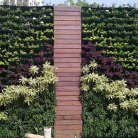 vertical gardens