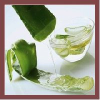 Aloe Vera Oil