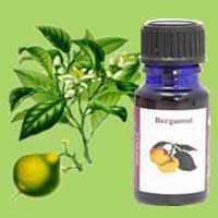 Bergamot Oil