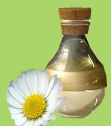 Chamomile Oil