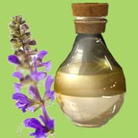 Clary Sage Oil