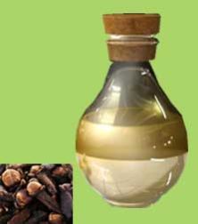 Clove Oil