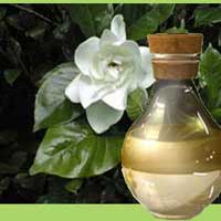 Gardenia Oil