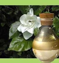 Gardenia Oil