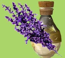 Lavender Oil