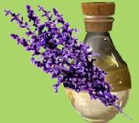 Lavender Oil