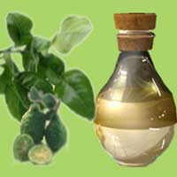 Lime Oil