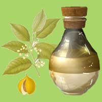 Nutmeg Oil