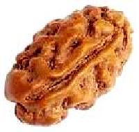 1 Mukhi Java Rudraksha Bead