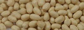 HPS Groundnut Kernels